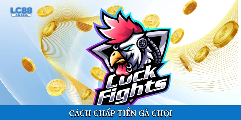 Cách chấp tiền gà chọi