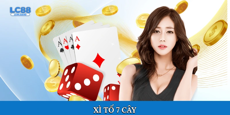 Xì tố 7 cây